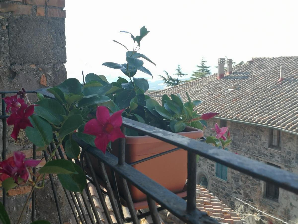 La Gioiosa Apartment Radicofani Bagian luar foto